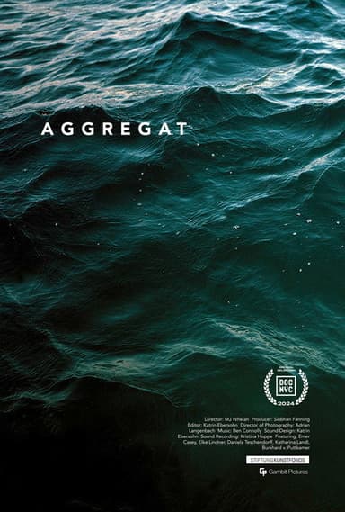 Aggregat poster