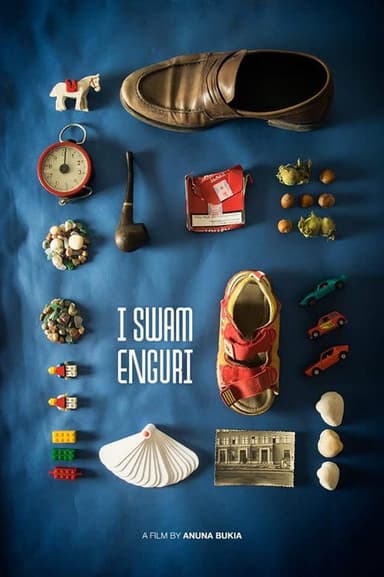I Swam Enguri poster