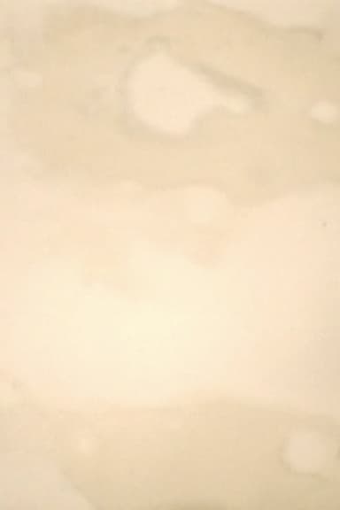 FUJICABLUE 孤独な映画 poster