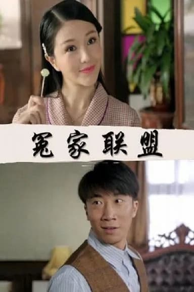 冤家联盟 poster