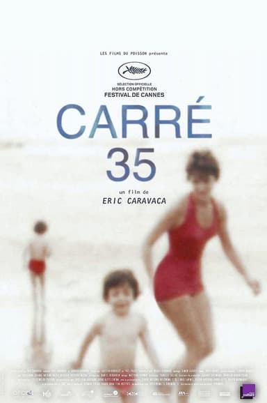 Plot 35 poster