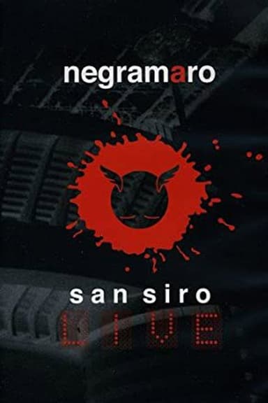 Negramaro - San Siro Live poster