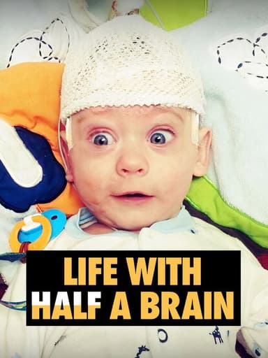 Life with Half a Brain poster