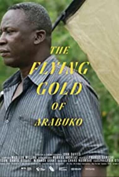 The Flying Gold of Arabuko poster