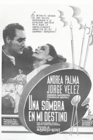 Una sombra en mi destino poster