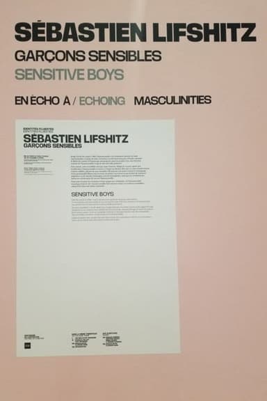 Sensitive Boys poster