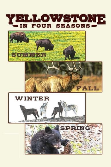 Yellowstone in Four Seasons poster