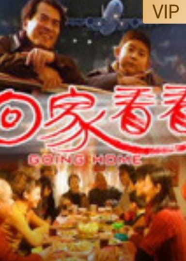 回家看看 poster