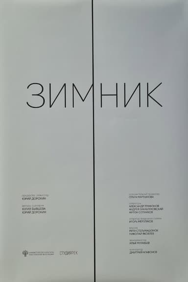 The Winter Road poster