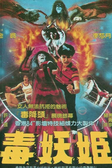 Lady Boxer poster