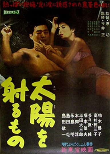 Taiyō o iru mono poster