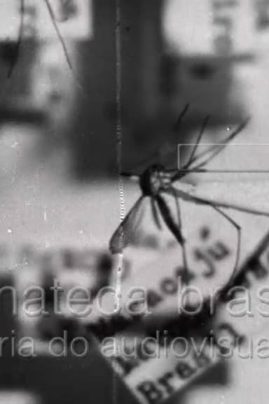 Febre Amarela II poster