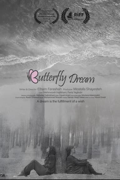 Butterfly Dream poster