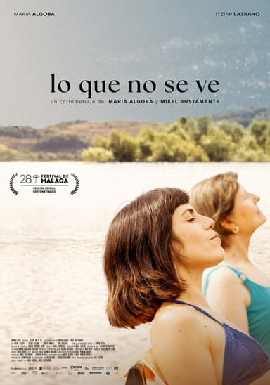 Lo que no se ve poster