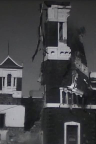 The Destruction of St. Patrick's College 1971 poster