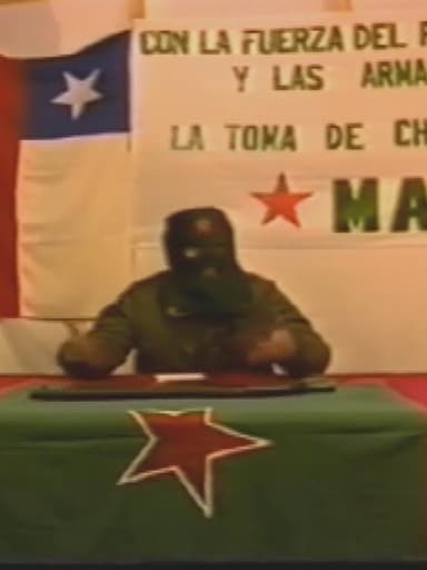 Mapu Lautaro Report poster