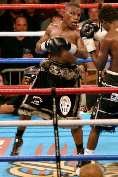 Floyd Mayweather Jr. vs. Phillip Ndou poster