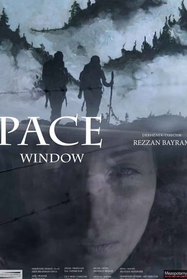 Window poster