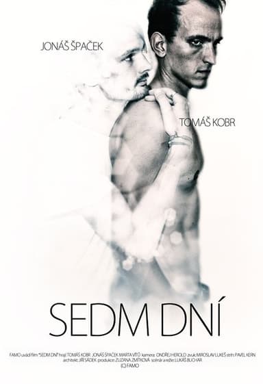 Seven Days poster