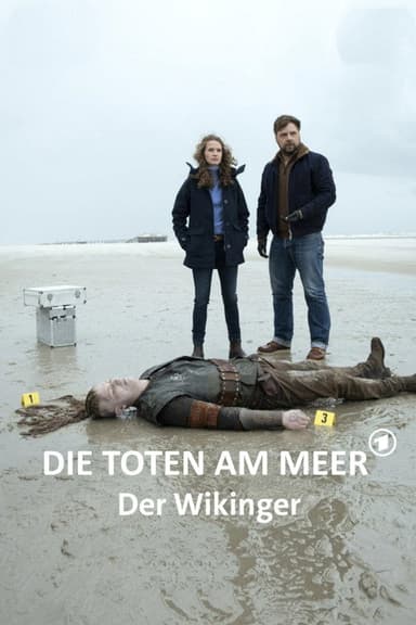 Die Toten am Meer - Der Wikinger poster