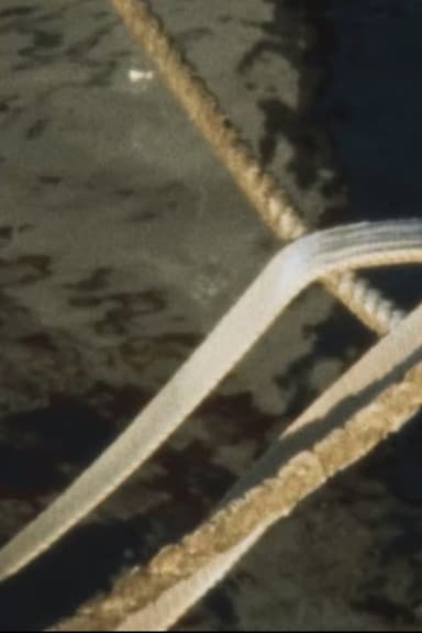 Harbour Film poster