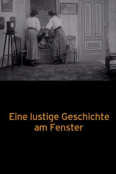 A Funny Story at the Window poster