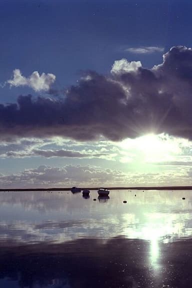 Estuary poster