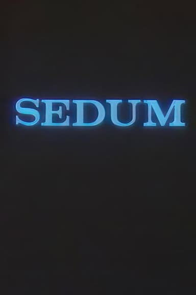 The Seven poster