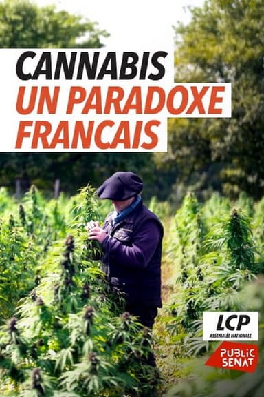 Cannabis, le paradoxe français poster