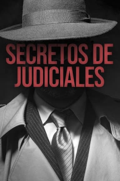 Secretos de judiciales poster