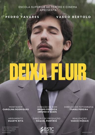 Deixa Fluir poster
