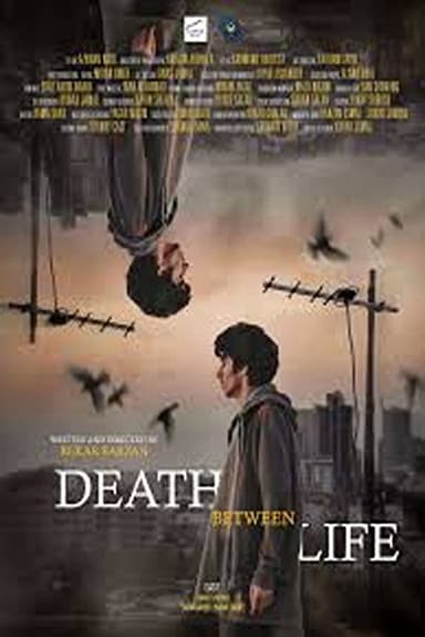 Death between life poster