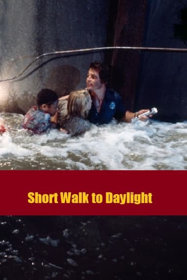Short Walk to Daylight poster