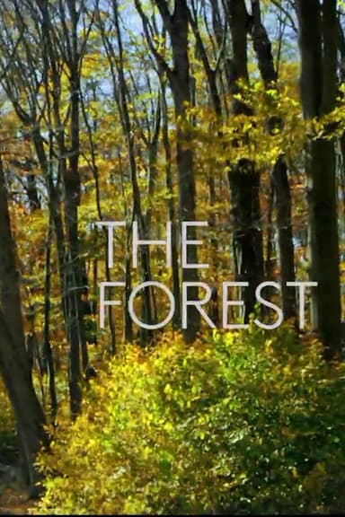 The Forest poster