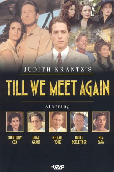 Till We Meet Again poster