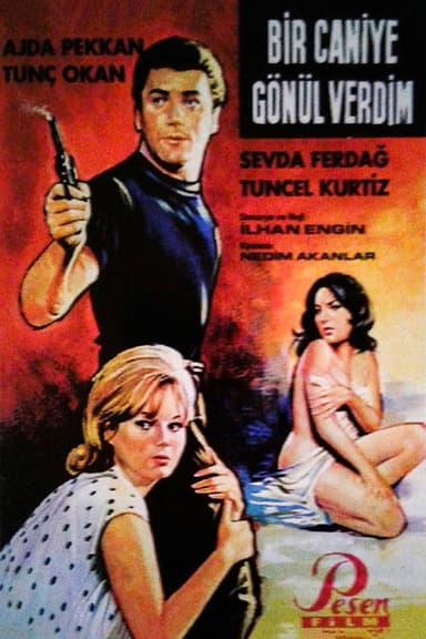 Bir Caniye Gönül Verdim poster