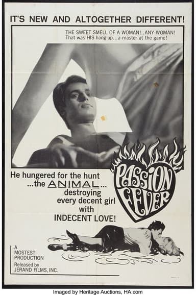 Passion Fever poster