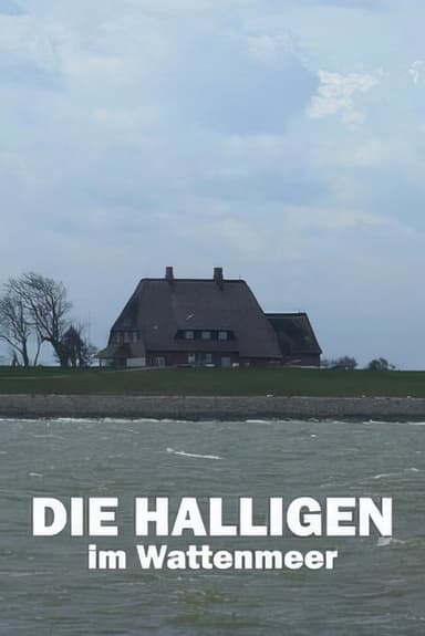 Die Halligen im Wattenmeer poster