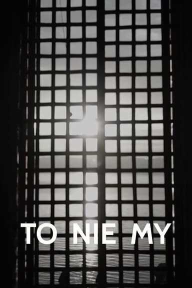 It's Not Us poster