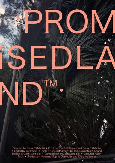 Promisedland™ poster
