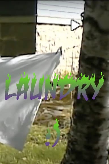 laundry poster
