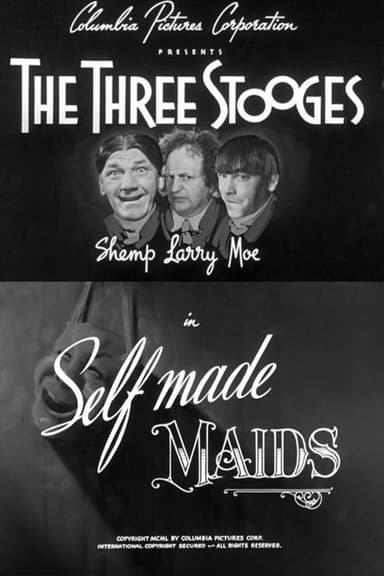 Self Made Maids poster