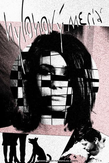 Nylon Moon poster
