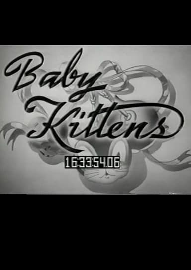 Baby Kittens poster