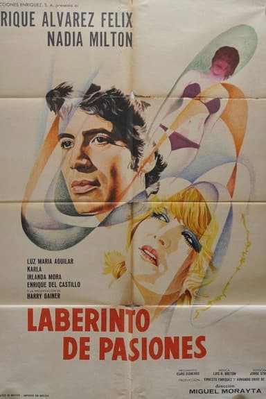 Labyrinth of Passion poster