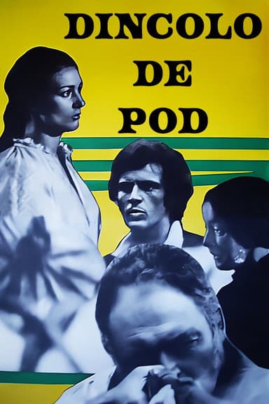 Beyond the Bridge poster