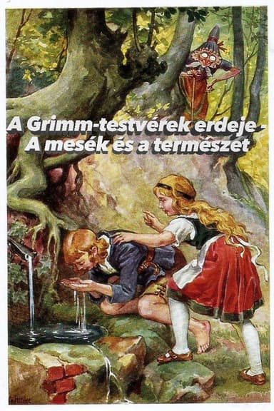 Im Märchenwald der Gebrüder Grimm poster