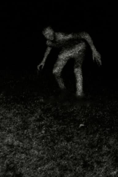 Stalking poster