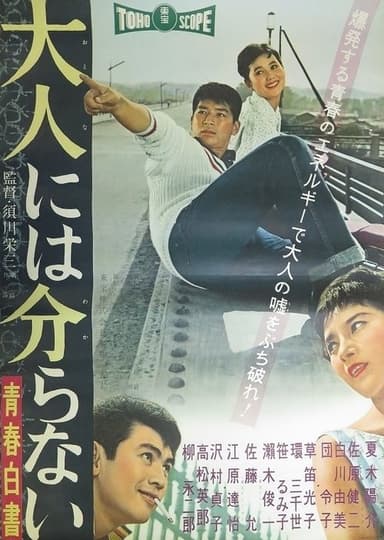 Adults Cannot Understand - Record of Youth poster