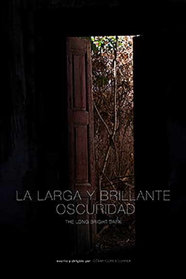 The Long Bright Dark poster